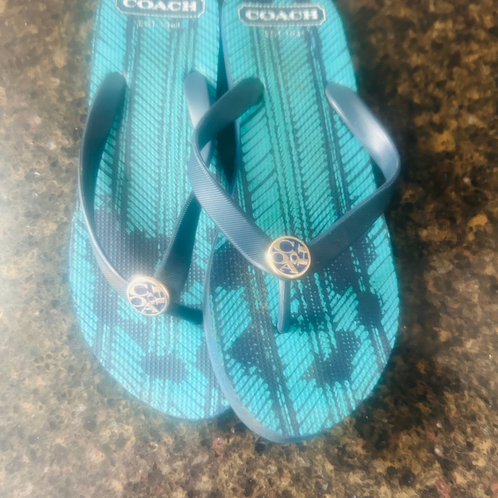 Coach Teal and Black Flip Flops